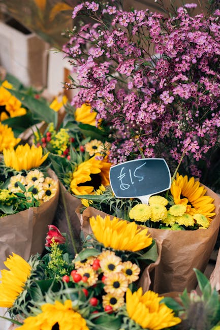 A vibrant display of fresh floral arrangements featuring large bouquets of bright yellow sunflowers with dark centers, accented by smaller white daisies and red berries, all wrapped in brown craft pap